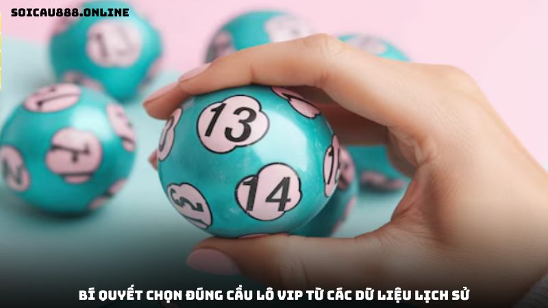 soi-cau-lo-vip-3