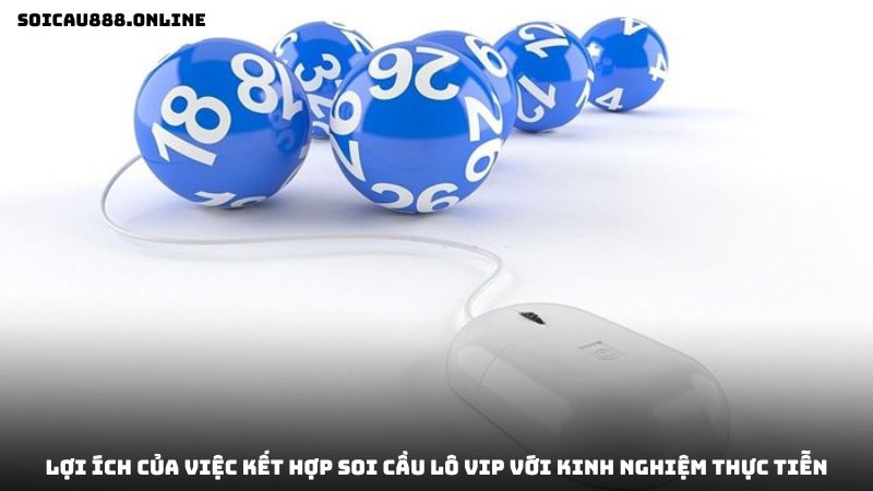 soi-cau-lo-vip-5